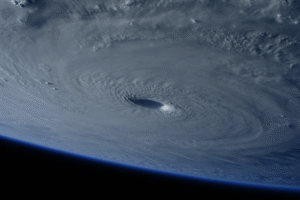 hurricane shutters