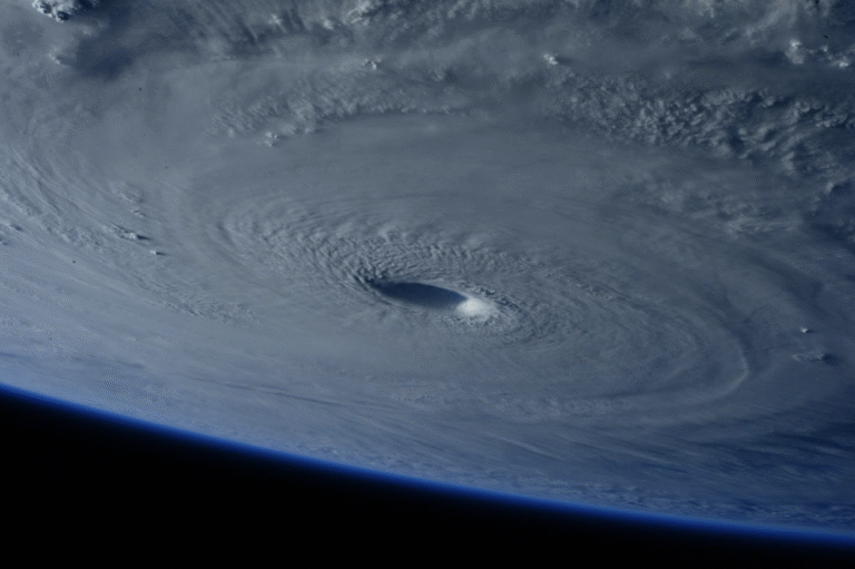 hurricane shutters