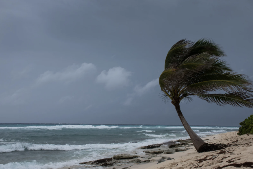 hurricane shutters naples FL